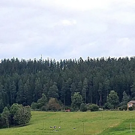 아파트 Blackjulie Im Schwarzwald Mit Balkon Und Parkplatz Ruhig *