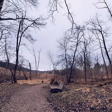 Blackjulie Im Schwarzwald Mit Balkon Und Parkplatz Ruhig St. Georgen im Schwarzwald