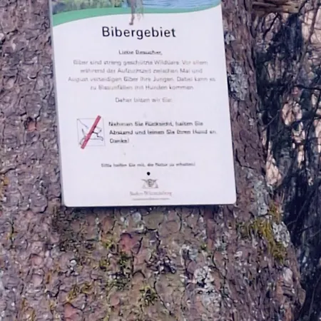 Blackjulie Im Schwarzwald Mit Balkon Und Parkplatz Ruhig Lejlighed *