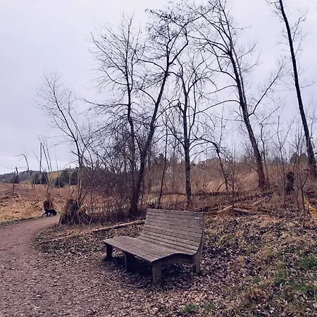 Blackjulie Im Schwarzwald Mit Balkon Und Parkplatz Ruhig *