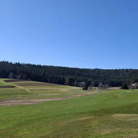 Blackjulie Im Schwarzwald Mit Balkon Und Parkplatz Ruhig *