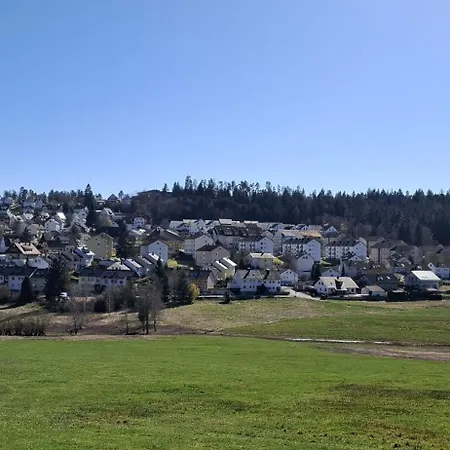 Blackjulie Im Schwarzwald Mit Balkon Und Parkplatz Ruhig