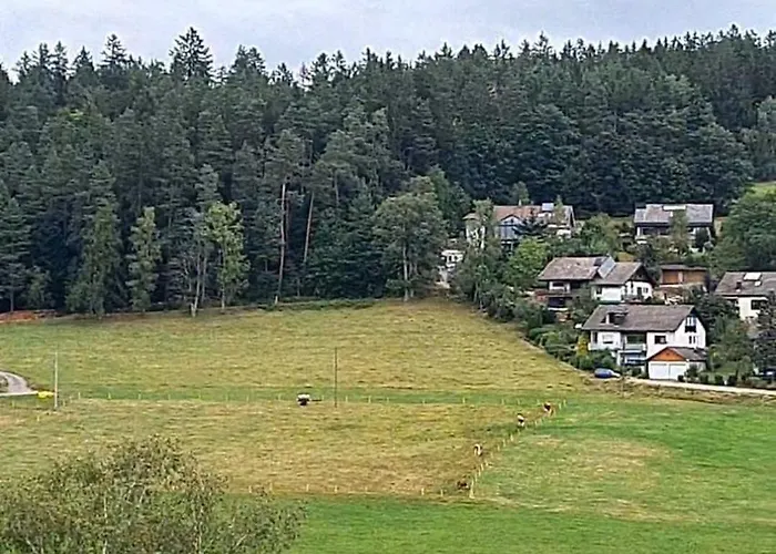 Appartement Blackjulie Im Schwarzwald Mit Balkon Und Parkplatz Ruhig St. Georgen im Schwarzwald