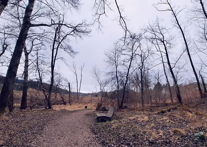 Blackjulie Im Schwarzwald Mit Balkon Und Parkplatz Ruhig St. Georgen im Schwarzwald