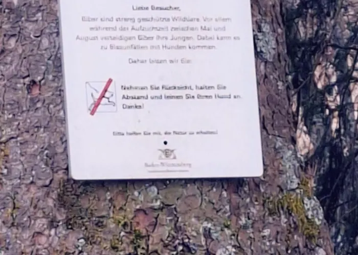 Blackjulie Im Schwarzwald Mit Balkon Und Parkplatz Ruhig Appartement *