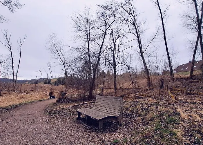 Blackjulie Im Schwarzwald Mit Balkon Und Parkplatz Ruhig *