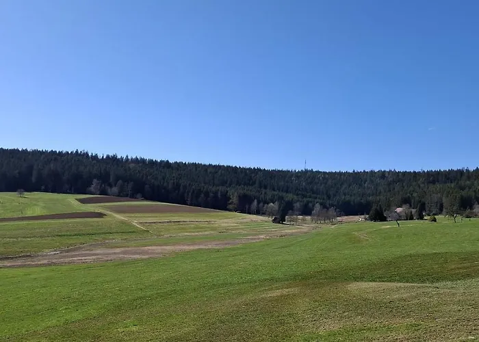 Blackjulie Im Schwarzwald Mit Balkon Und Parkplatz Ruhig *