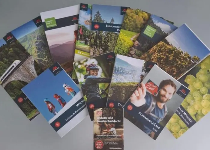 Blackjulie Im Schwarzwald Mit Balkon Und Parkplatz Ruhig Appartement *